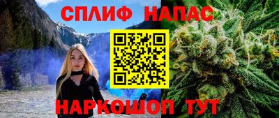 дурь Заводоуковск