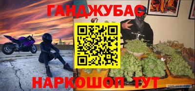 дурь Заводоуковск